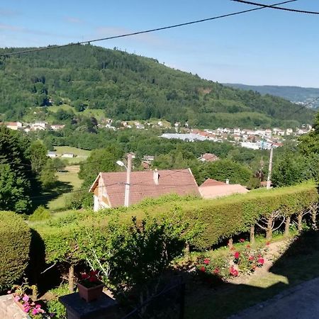 פלאפה Gite De Bellevue Maison Traditionnelle Vosgienne מראה חיצוני תמונה