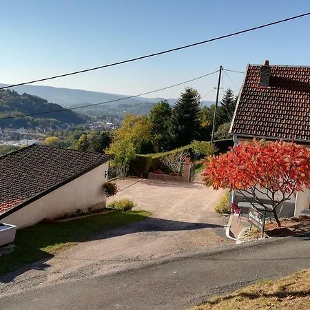 פלאפה Gite De Bellevue Maison Traditionnelle Vosgienne מראה חיצוני תמונה