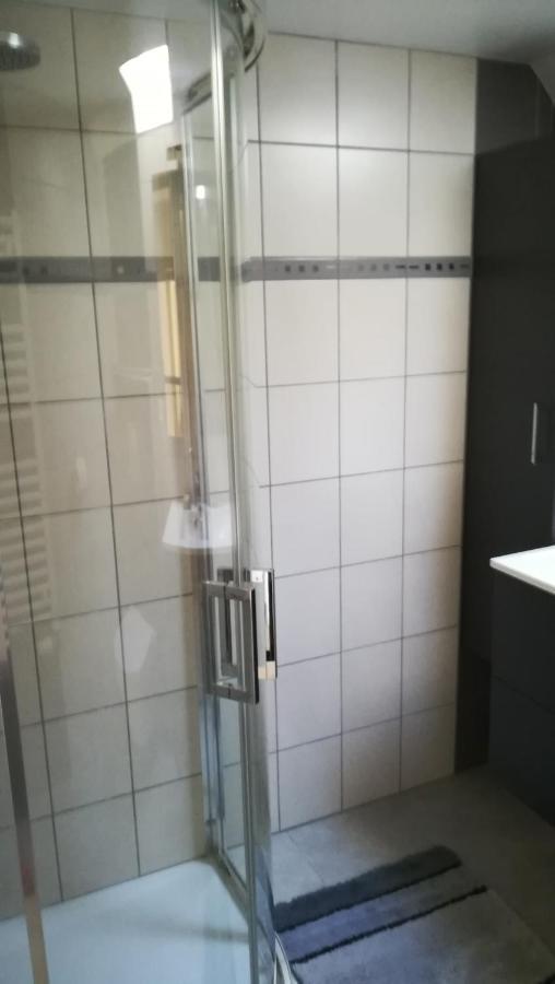 פלאפה Gite De Bellevue Maison Traditionnelle Vosgienne מראה חיצוני תמונה