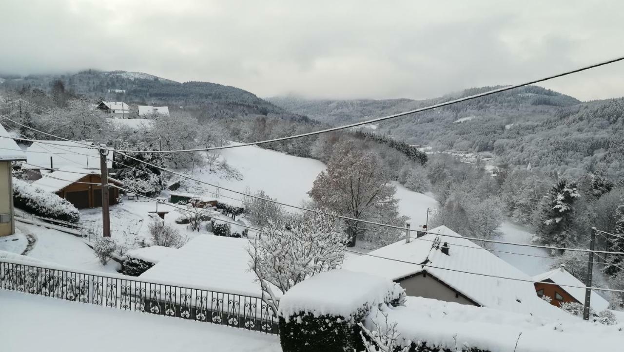 פלאפה Gite De Bellevue Maison Traditionnelle Vosgienne מראה חיצוני תמונה