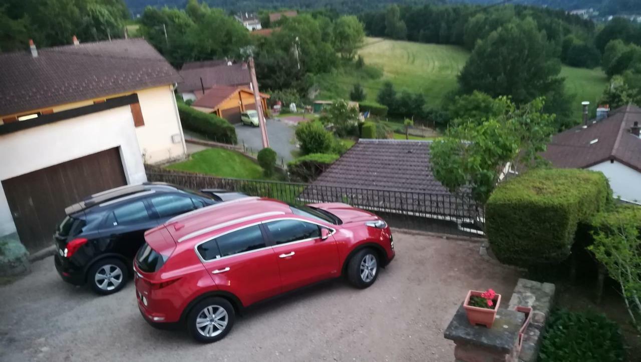 פלאפה Gite De Bellevue Maison Traditionnelle Vosgienne מראה חיצוני תמונה