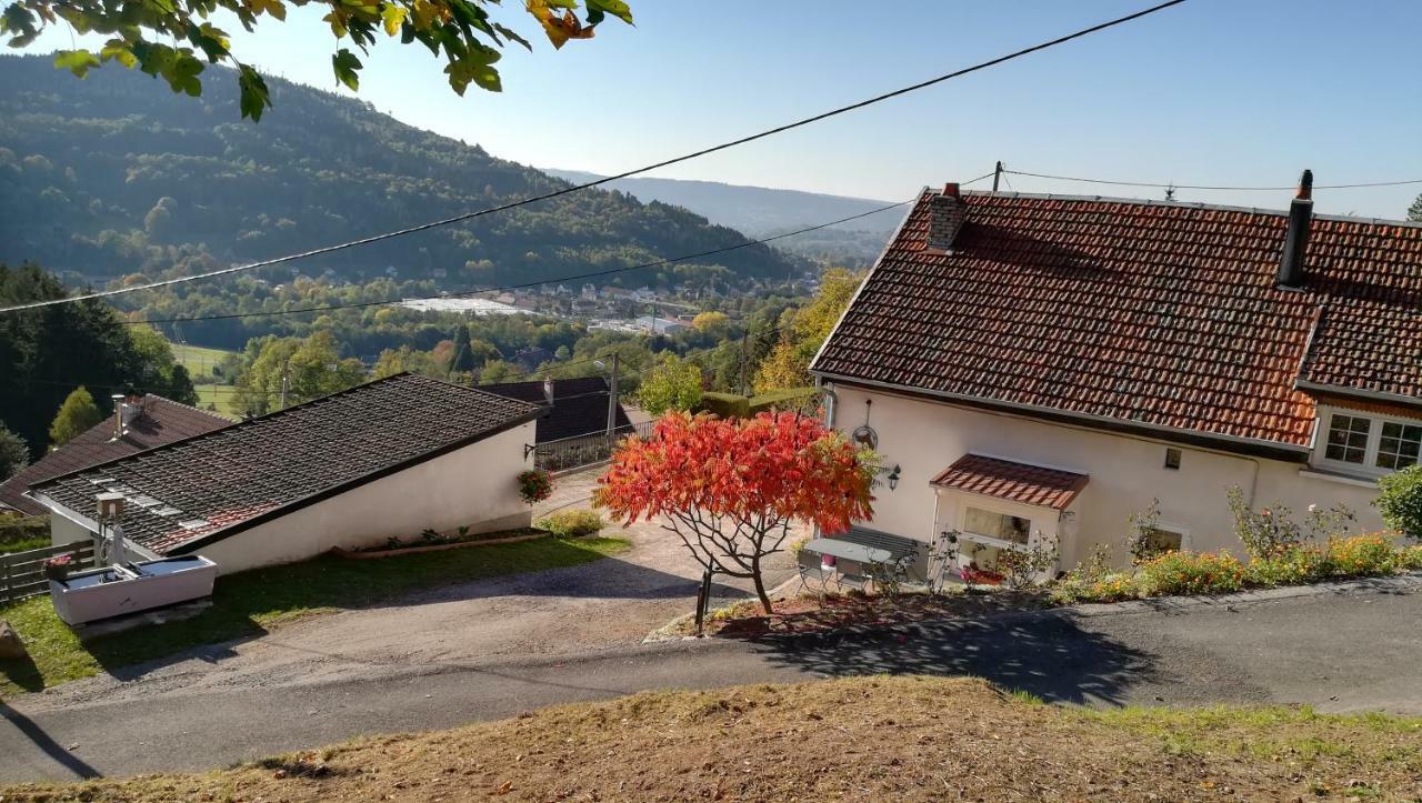 פלאפה Gite De Bellevue Maison Traditionnelle Vosgienne מראה חיצוני תמונה