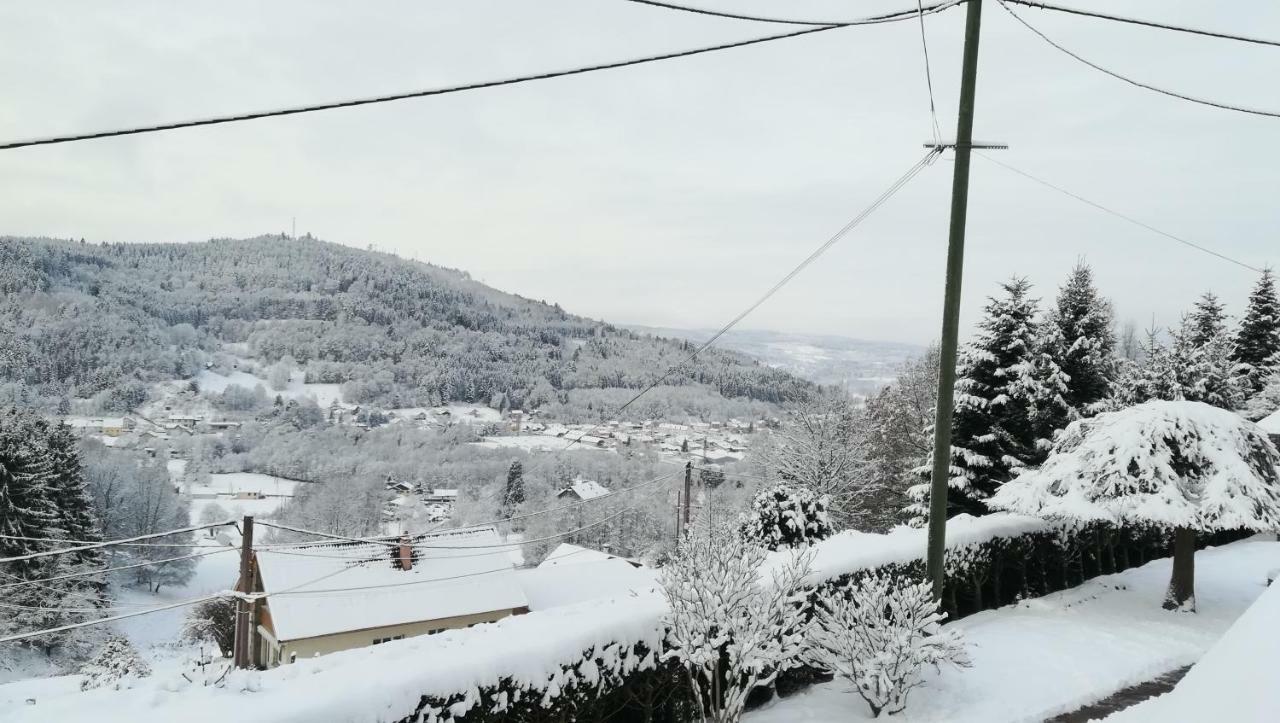 פלאפה Gite De Bellevue Maison Traditionnelle Vosgienne מראה חיצוני תמונה