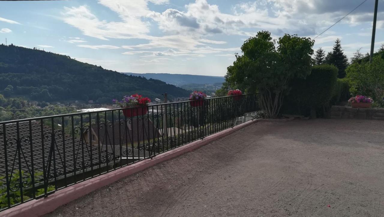 פלאפה Gite De Bellevue Maison Traditionnelle Vosgienne מראה חיצוני תמונה